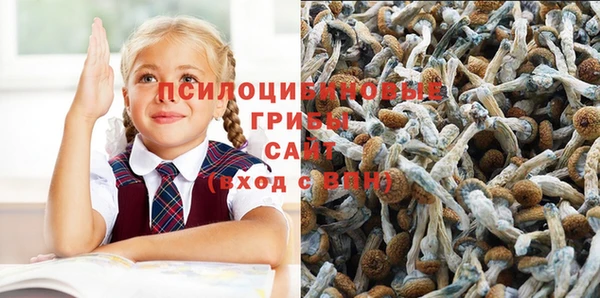 молекула духа Карталы